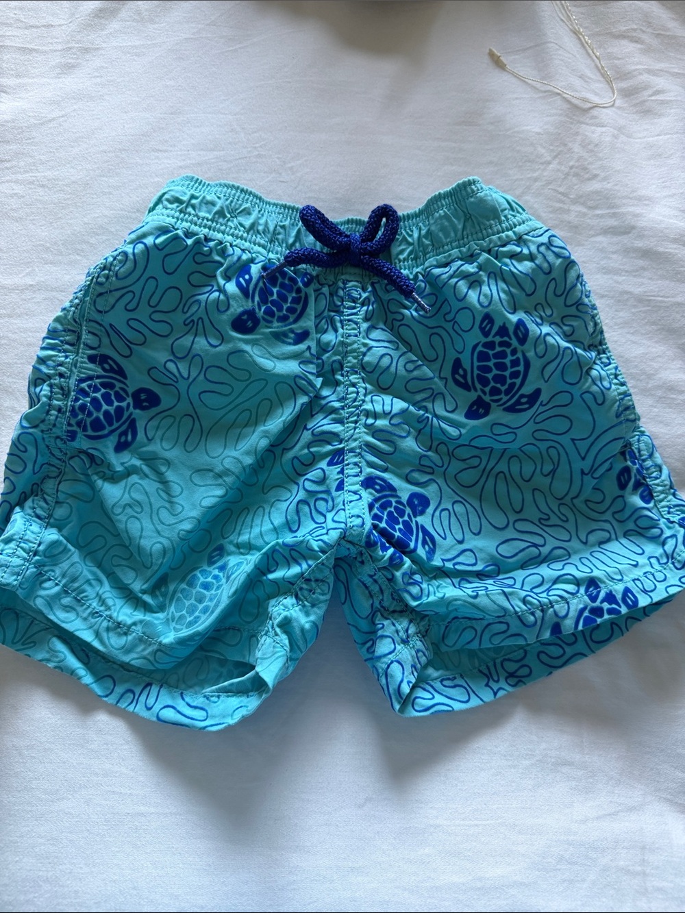 Vilebrequin Boys Aqua and Royal Blue Turtle Swim Trunks